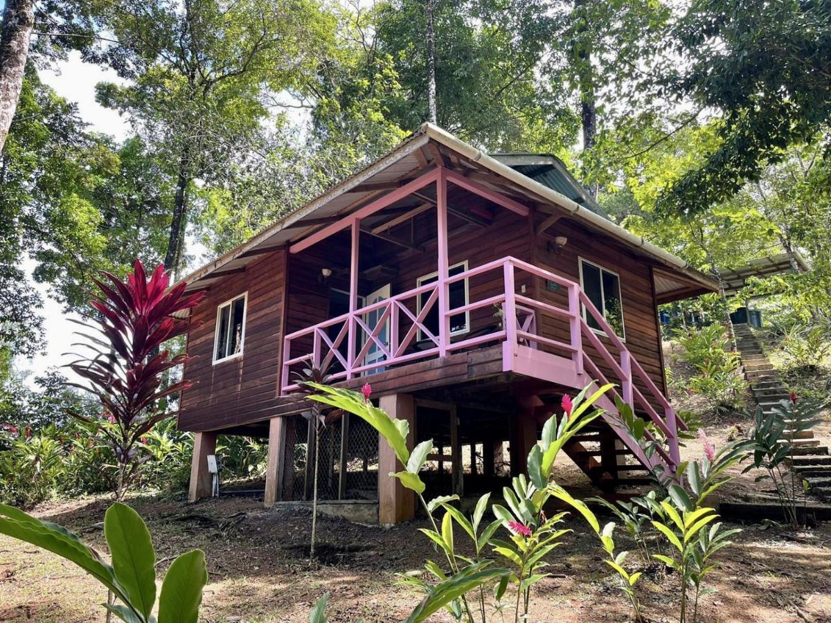 Akwaba Lodge The Gap Екстериор снимка