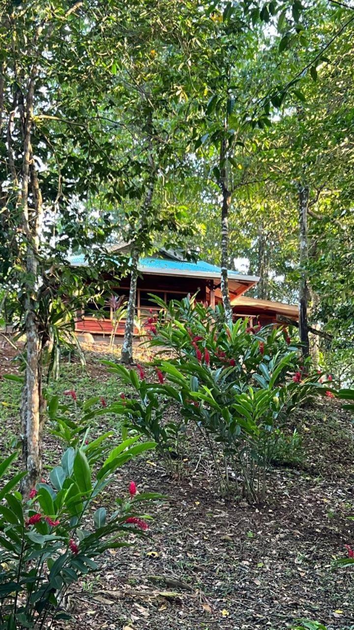 Akwaba Lodge The Gap Стая снимка